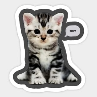 Meow... Sticker